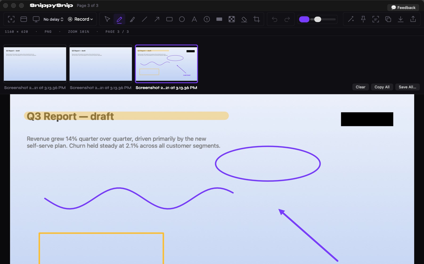 The Snippy Snip editor: a captured document annotated with highlighter, arrows, shapes and redaction, with the session carousel above it
